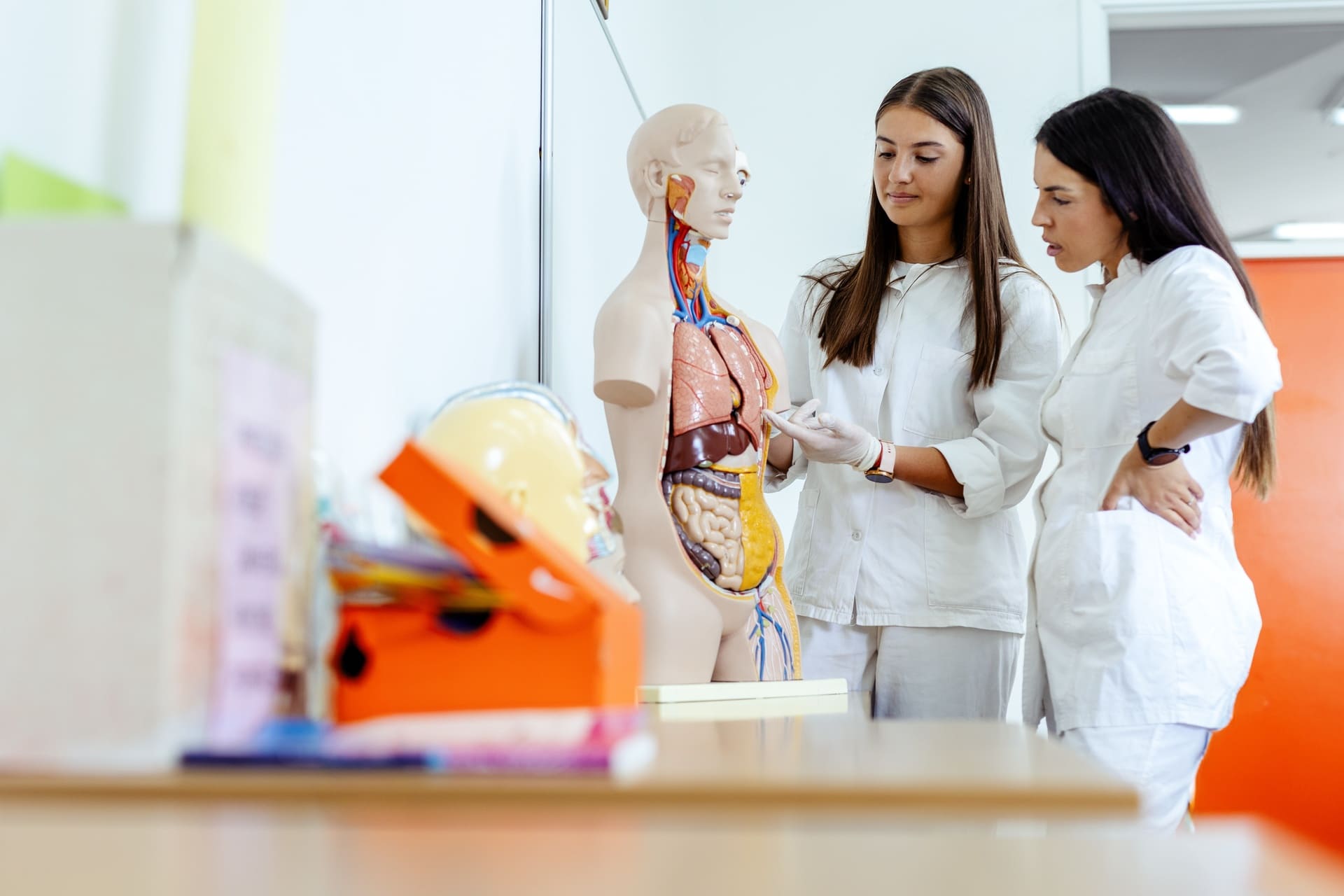 Formation professionnel santé